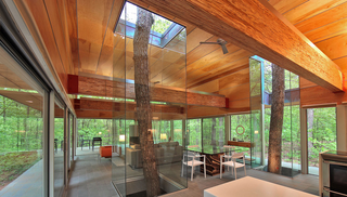 Illustration for article titled 8 Buildings Designed to Incorporate the Trees Around Them